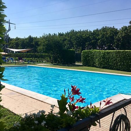 Agriturismo Corte Pellegrini San Martino Buon Albergo Exterior photo